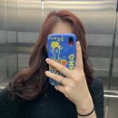 칠말팔초 장지히는 무얼하고 살았나