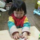 노래하는하마 Daum카페