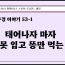 [원빈스님의 천일천독 북큐레이션 2일] ★ &#34;태어나자 마자 옷도 못 입고 똥만 먹는 아이&#34; 이미지