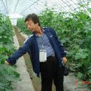 협동농장 이미지