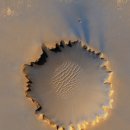 체질건강약국 | 화성 마운자로 처방병원 약국 성지 가격비교 후기