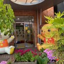 해나무유치원 이미지