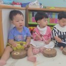 코앤코교육 - 춘천시 스무숲1길 38 | 코앤코교육