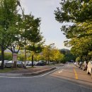 군포 예인예술제 | 산본 점심 메뉴로 너무 좋았던 남도연 꼬막정식