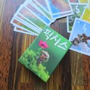 수학보드게임 | 픽시스 아이와 함께 즐기는 초등 수학보드게임 이야기