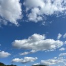 산야초원숯불갈비