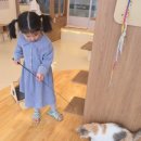 안내초등학교 | (지소다와함께#10) 부타캣 강서점 솔직후기, 아이가 고양이 키우겠다고 해서 데려갔더니 생긴 일