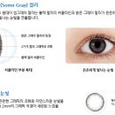 썸브라운 - 5627 | 썸브라운