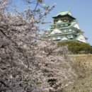 벚꽃 공중화장실 이미지