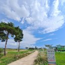 백일홍명품길 이미지