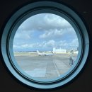 방법, 홍콩식 딤섬 마지막 만찬 가오슝 공항 가는 방법 면세점 식당 , 타이거 에어 탑승 후기 수하물