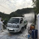 돼지전