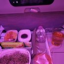 한치 앞도 알 수 없는 두바이 여행 7박 9일 (1)