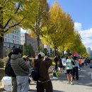 마포동화써비스㈜ | [마첫풀 3기] 드디어 최종장. 감격의 2025 JTBC 서울 마라톤 풀코스 완주