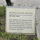 포도청 티스토리