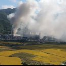 함안초등학교 이미지