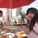 용인대 타이곤 프렌즈 태권도장 이미지