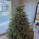 초당커피정미소 이미지