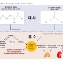 스마트셀약국 이미지