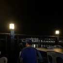 벌떡새우 이미지