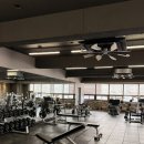 케이불스 휘트니스 신월사거리점 | 신월동PT 실력 진심인 곳, 케이불스 휘트니스 신월점 방문기🔥