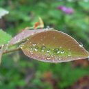 산속에아침 이미지