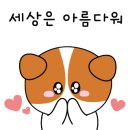 광주식육점