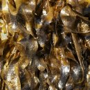 미즈포유여성의원 이미지