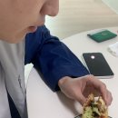 청년피자 검단신도시점 네이버블로그