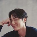 로이복사 이미지