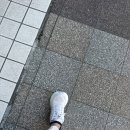 홋카이도의역사 후라노 청의호수 비에이 삿포로버스투어｜BTS 맛집 코이카와