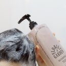 오디드 B 이미지