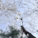 마중광장 네이버블로그