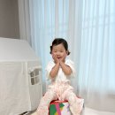 그림책이 궁금해 | 유아전집 추천 세계창작그림책 블루래빗 토끼책방 언박싱