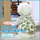 힐스토리 애견 동반 펜션 | 경기도 가평 애견동반 독채 펜션 [펜션힐] 내돈내산 솔직 후기