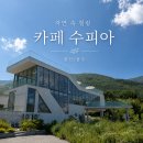 [울산/울주] 카페 재방문하고 싶은 '카페수피아' 후기