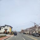정우식육점 네이버블로그