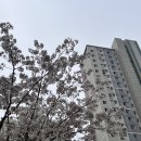 싸움의고수안산수암점