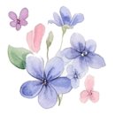 라고바움 호텔 이미지