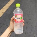 나 혼자 후쿠오카 (4)
