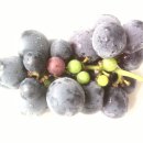 할렐루야기름집 이미지