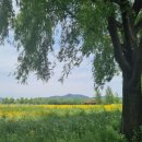 낙동강체육공원 자전거대여소 화장실 이미지