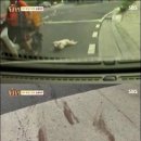 백구오토바이