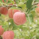 옥산목욕탕 이미지