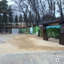 서울 헌릉과 인릉 이미지