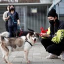 팅커벨하우스 이미지