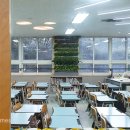 화랑초교 이미지