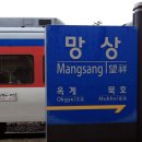 G1681 이미지