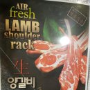 THE램 이미지