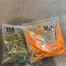 성남동중학교 | 성남 애니멀존 동물먹이주기체험 성남 실내동물원